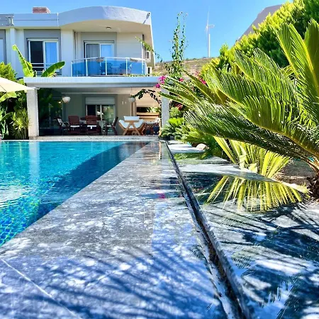 ヴィラ Sea Front Private With Salt Pool *