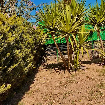 Sea Front Private With Salt Pool Çeşme